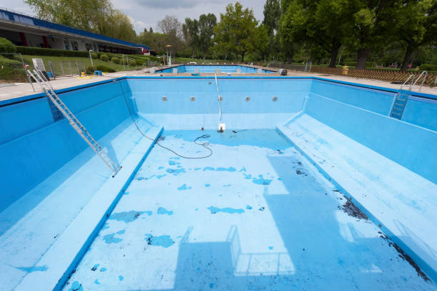 Best Flood restoration services  in Altoona, WI
