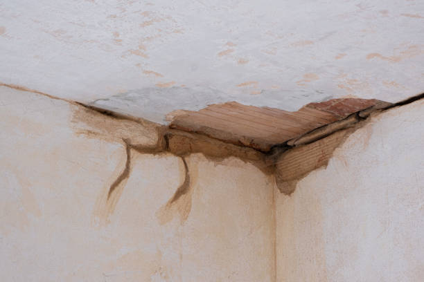 Best Water damage restoration near me  in Altoona, WI