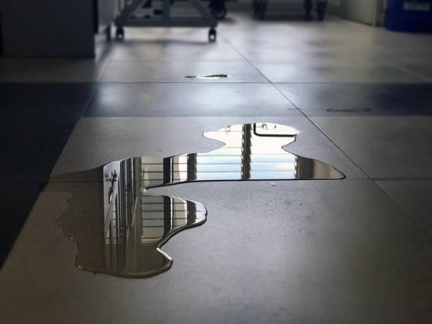 Best Water damage restoration cost  in Altoona, WI