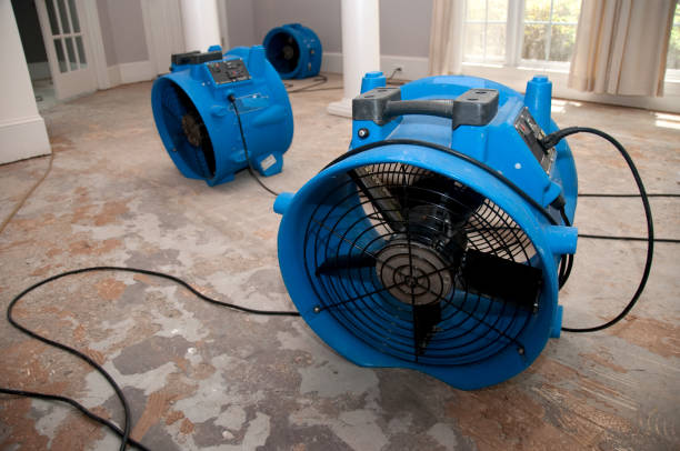 Best Flooded house restoration  in Altoona, WI