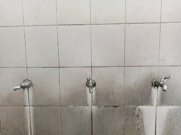  Altoona, WI Water damage restoration Pros