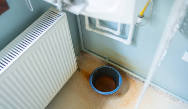 Best Basement water damage restoration  in Altoona, WI