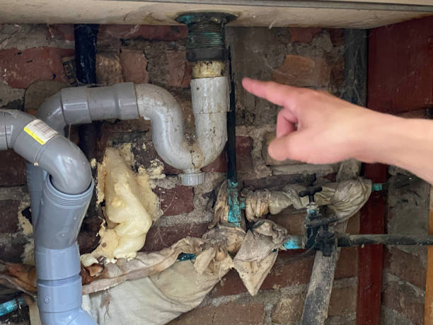 Best Water damage restoration near me  in Altoona, WI
